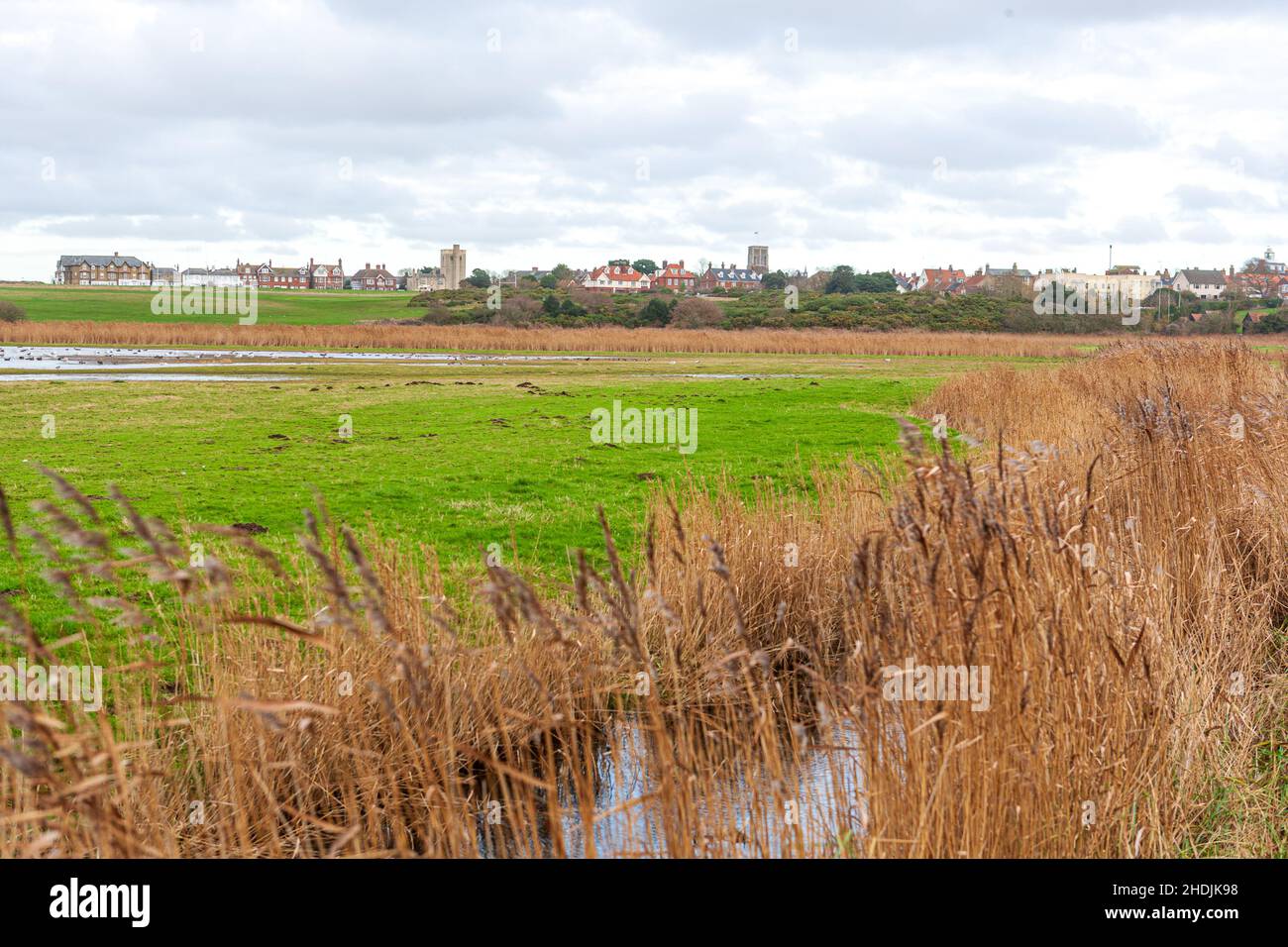 vista sulle paludi di sale a southwold suffolk Foto Stock