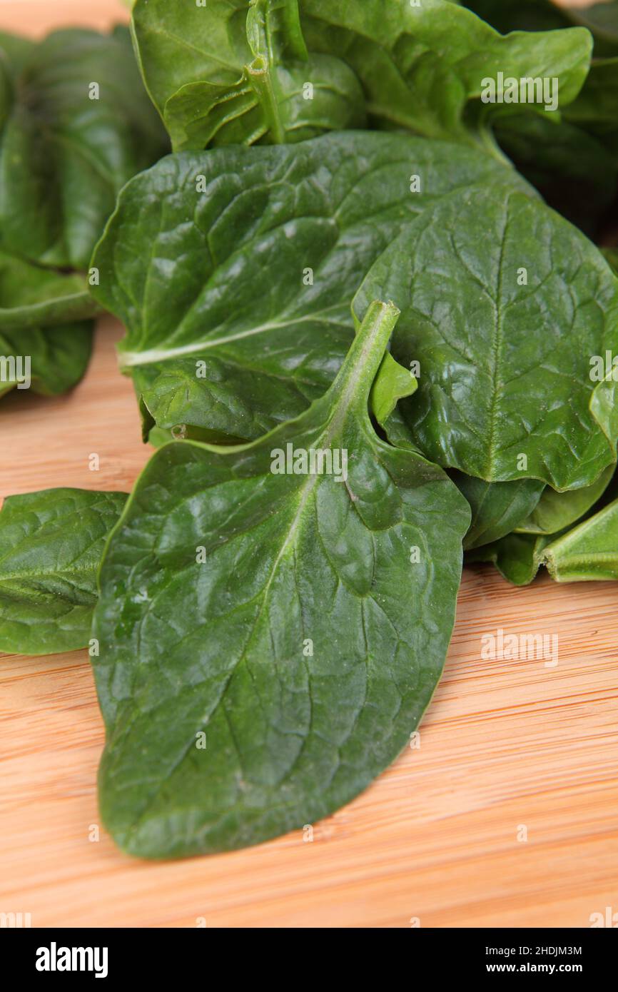 foglie di spinaci, foglie di spinaci Foto Stock