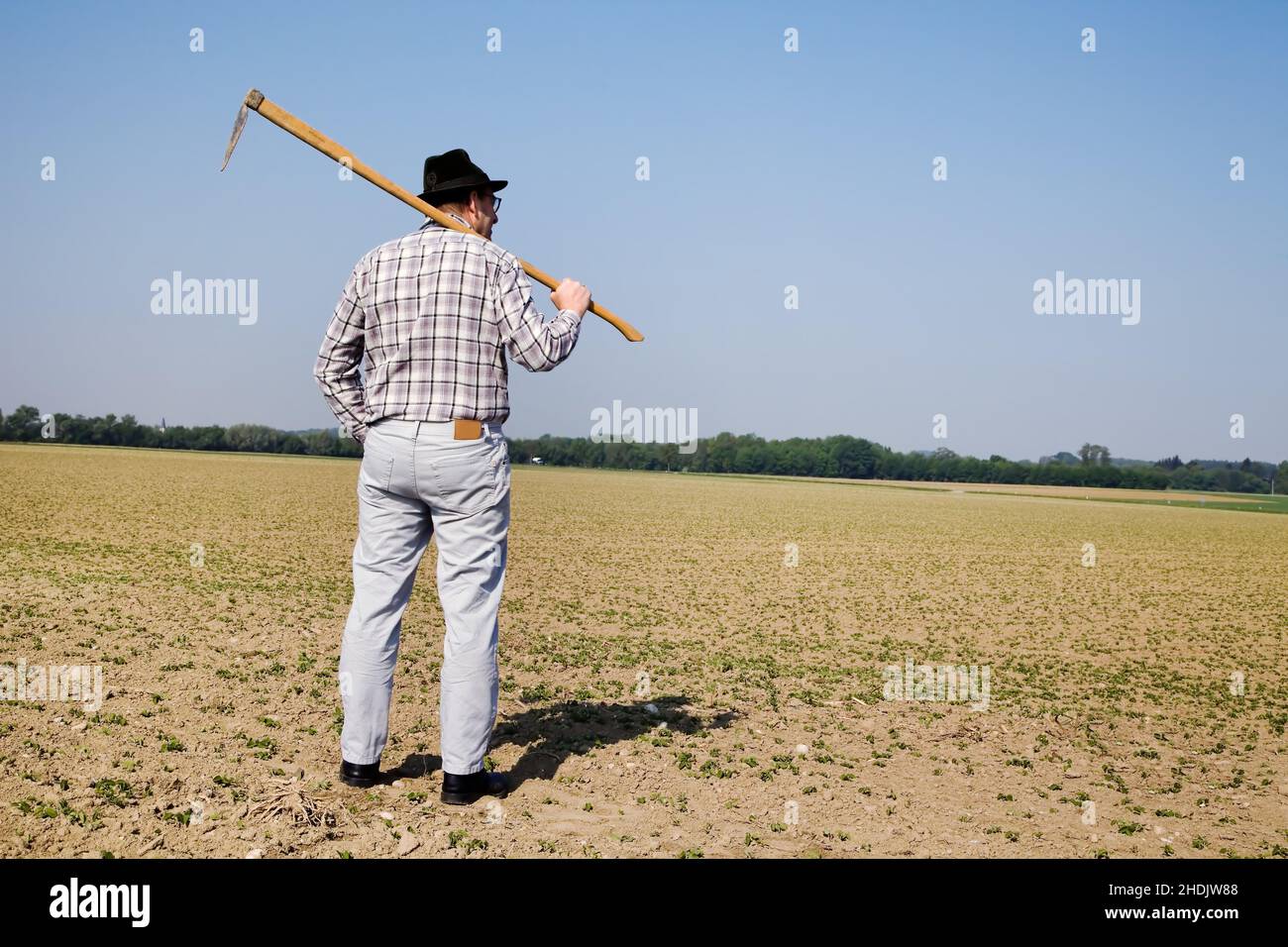 agricoltura, lavoro di campo, coltivatore, agricoltura, lavori di campo, coltivatori Foto Stock