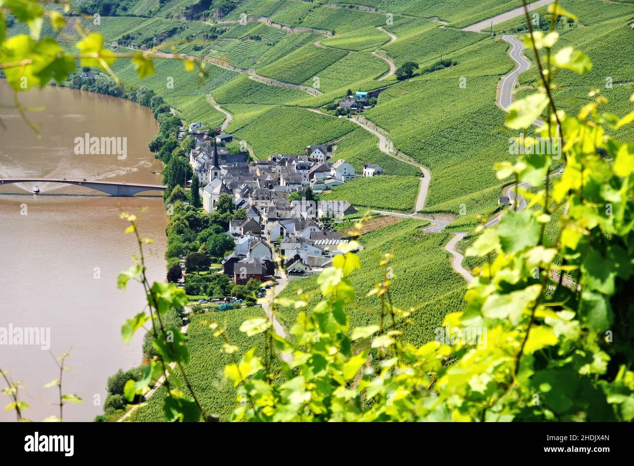 piesport, regione vinicola, piesport, regioni vinicole Foto Stock