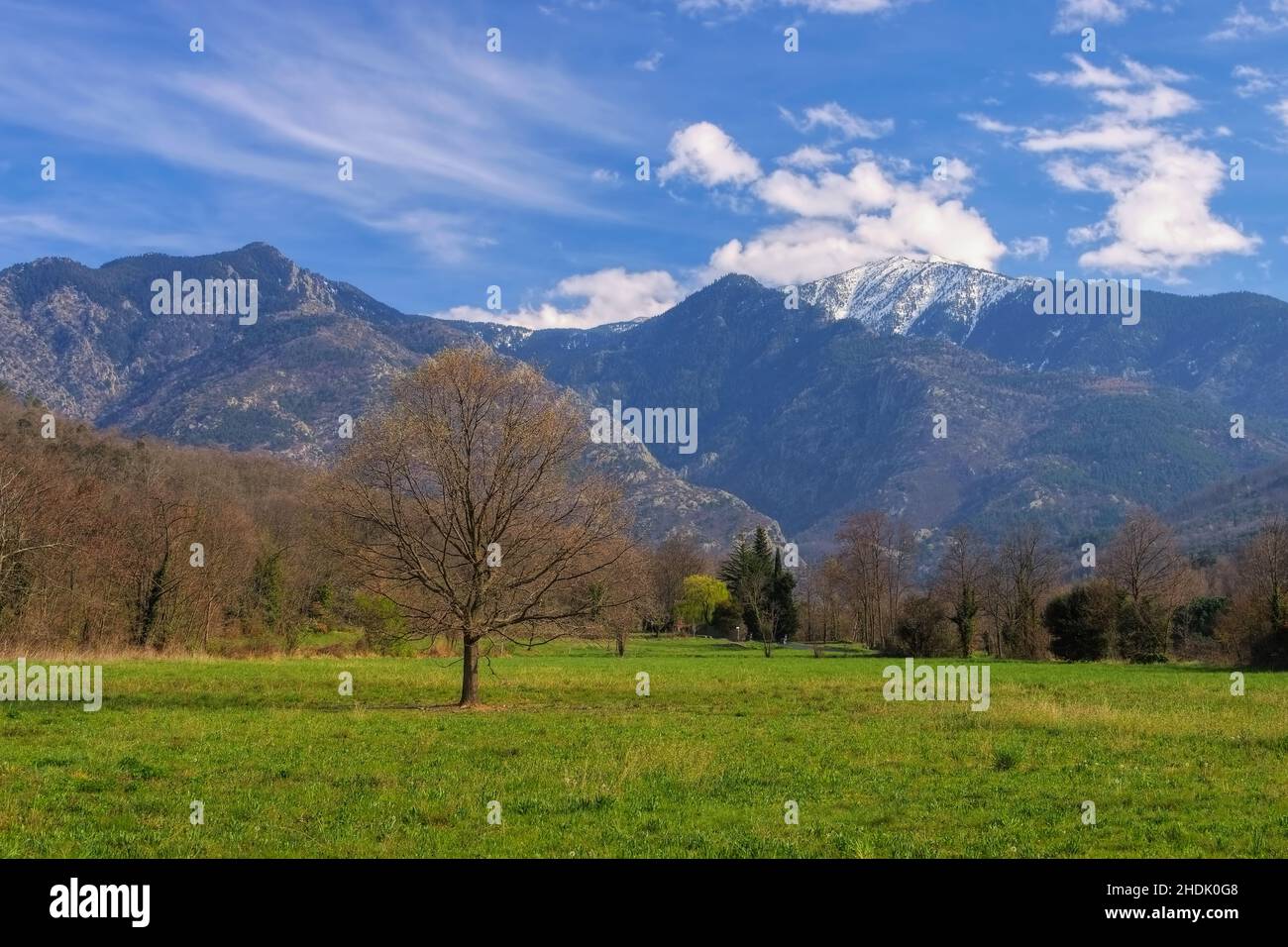 pirenei, der pic du canigou Foto Stock