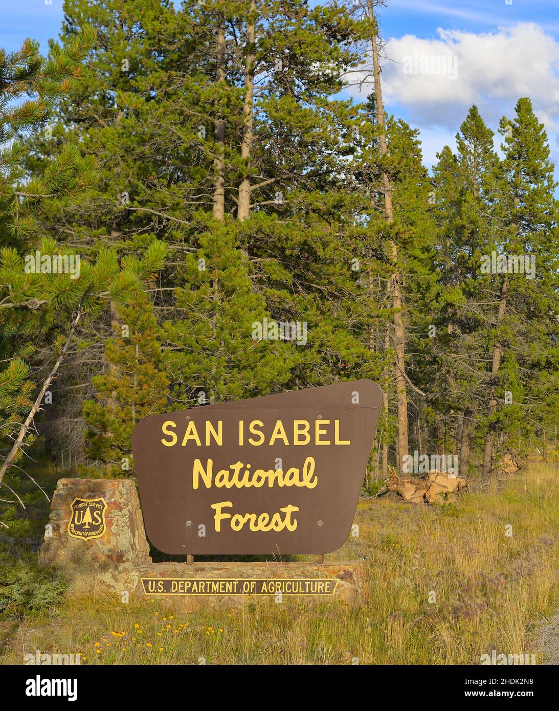 Splendida foresta nazionale di San Isabel lungo l'autostrada 24 verso Prospect Mountain, vicino a Leadville CO Foto Stock