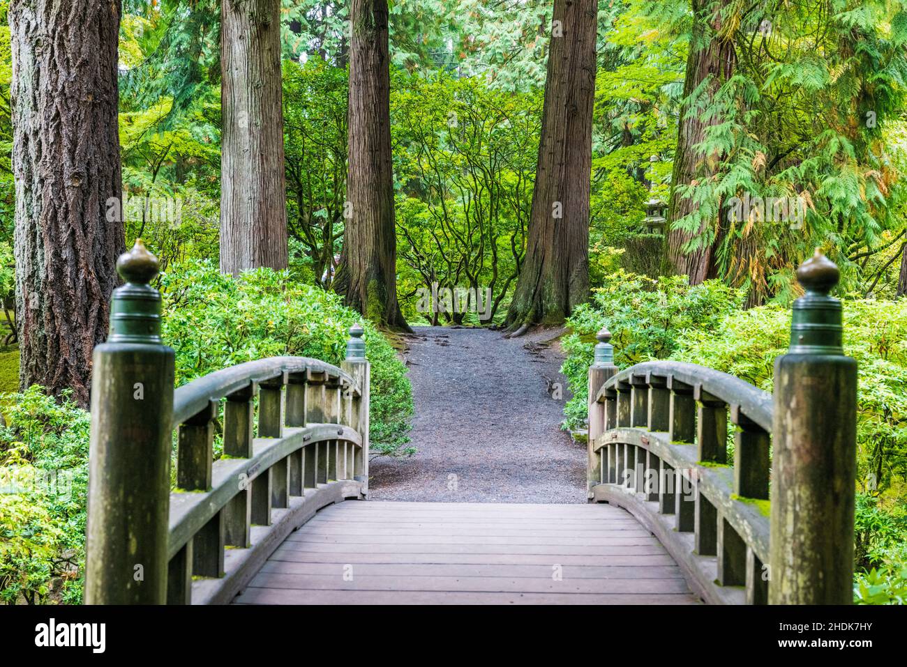 Ponte di legno sopra il giardino di Pond; Portland Japanese Gardens; Portland; Oregon; USA Foto Stock