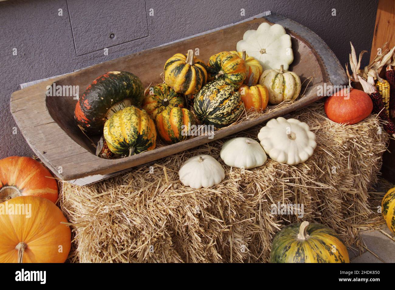 squash, varietà, vegetali, squashs, varietà, vegetale Foto Stock