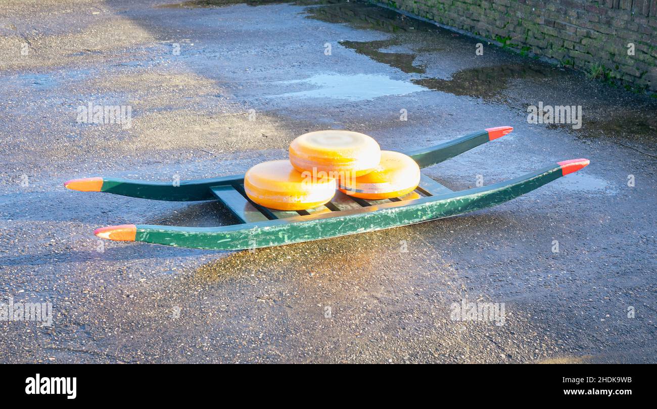 Formaggio olandese intero su un carrier tradizionale Foto Stock