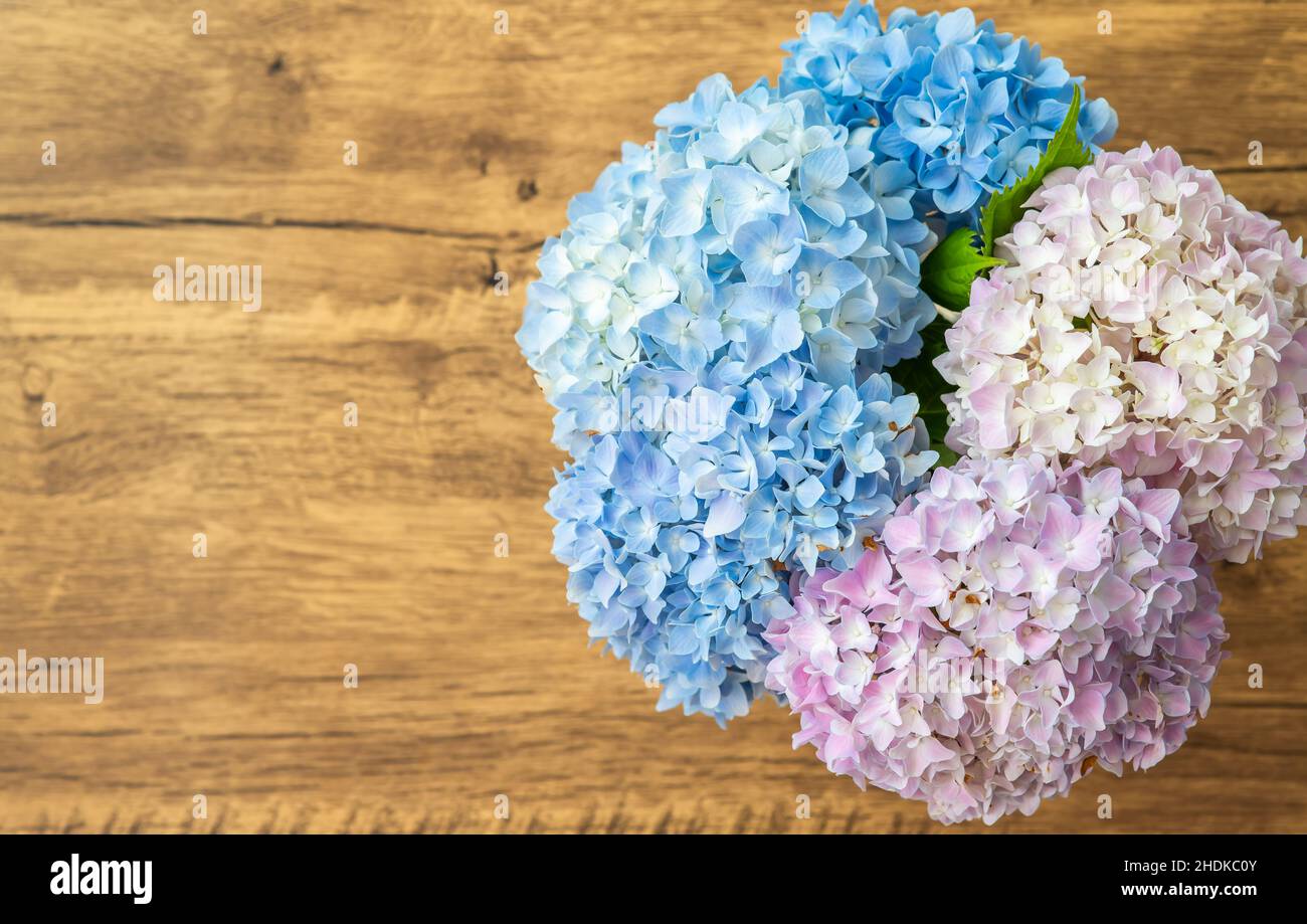 Happy Mother's Day primavera sfondo floreale con spazio per la copia del testo Foto Stock