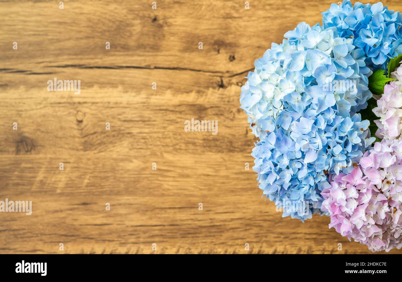 Happy Mother's Day primavera sfondo floreale con spazio per la copia del testo Foto Stock