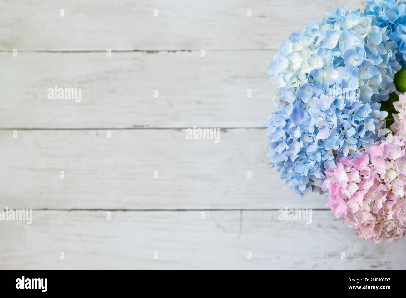 Happy Mother's Day primavera sfondo floreale con spazio per la copia del testo Foto Stock