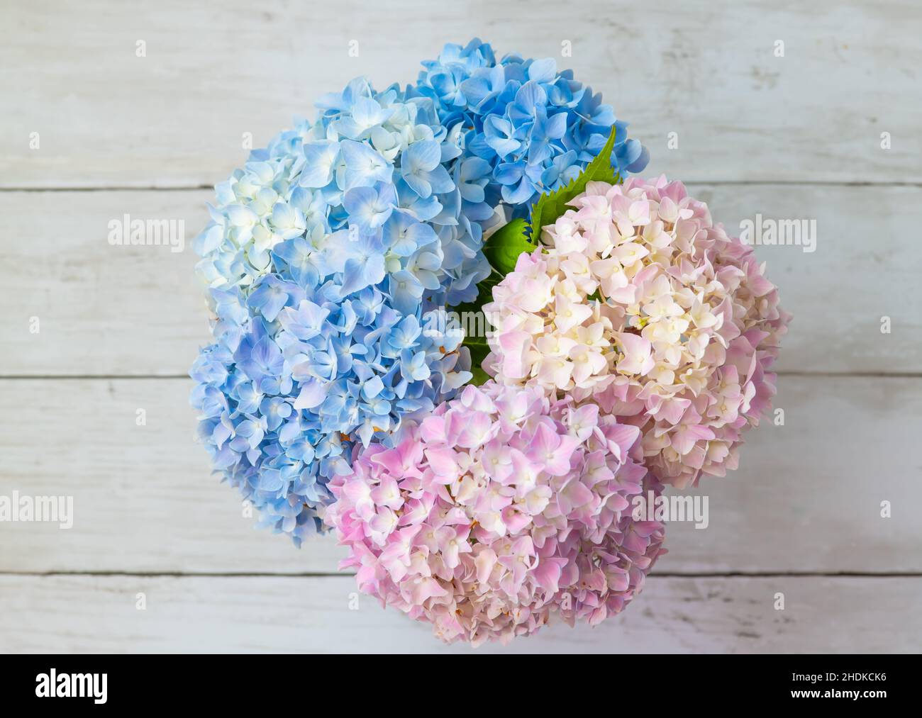 Happy Mother's Day primavera sfondo floreale con spazio per la copia del testo Foto Stock