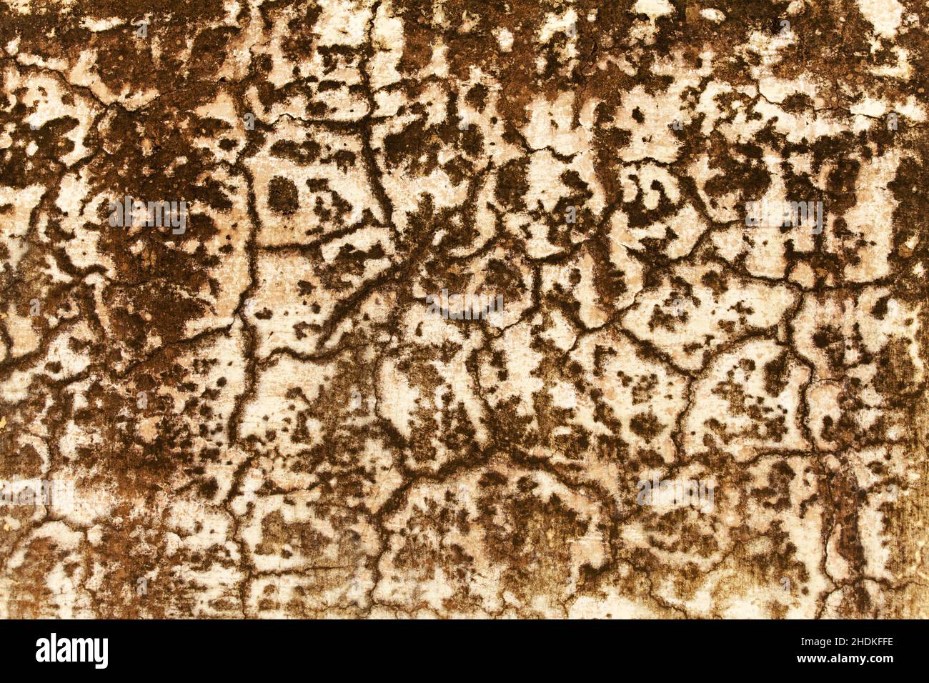 weathered, struttura, cracked, weatherds, strutture, grilli Foto Stock