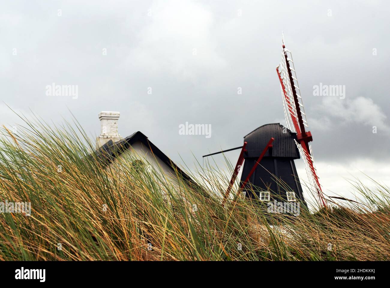 mulino a vento, danimarca, jutland, mulini a vento, denmark, jutlands Foto Stock