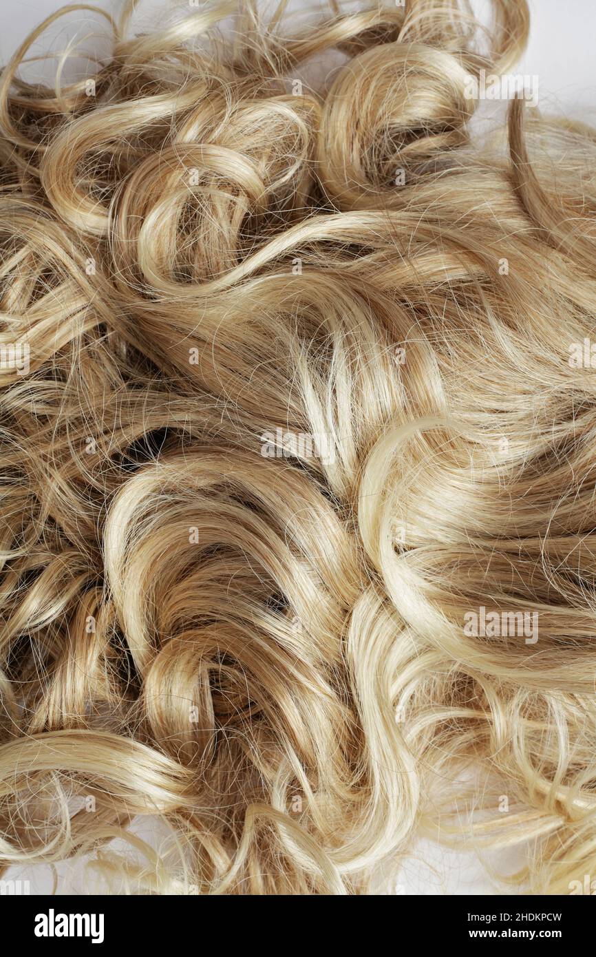 capelli biondi, parrucche, biondi, biondi, biondi, parrucche Foto Stock capelli biondi, parrucche, biondi, biondi, biondi, parrucche Foto Stock