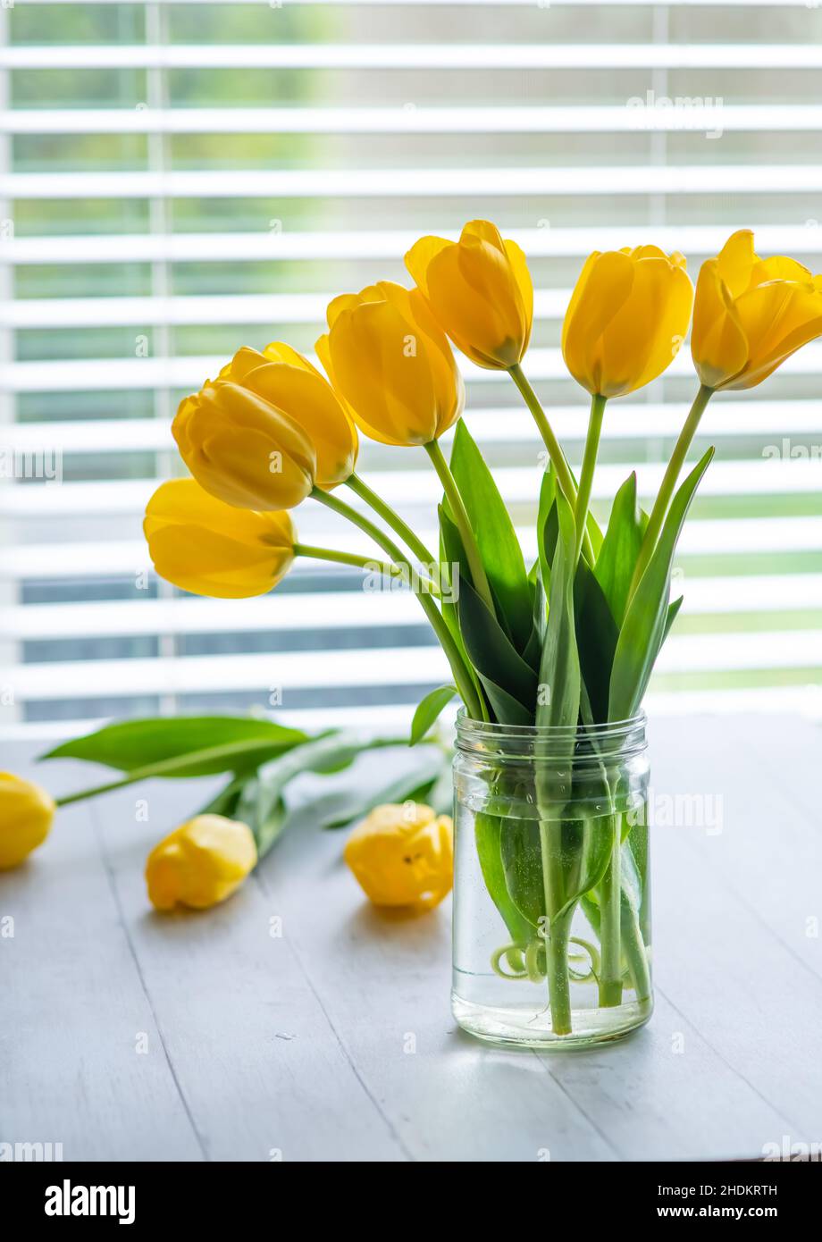 Happy Mother's Day primavera sfondo floreale con spazio per la copia del testo Foto Stock