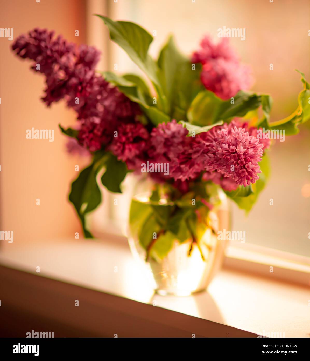 Bouquet di lilla in un vaso trasparente su un davanzale Foto Stock