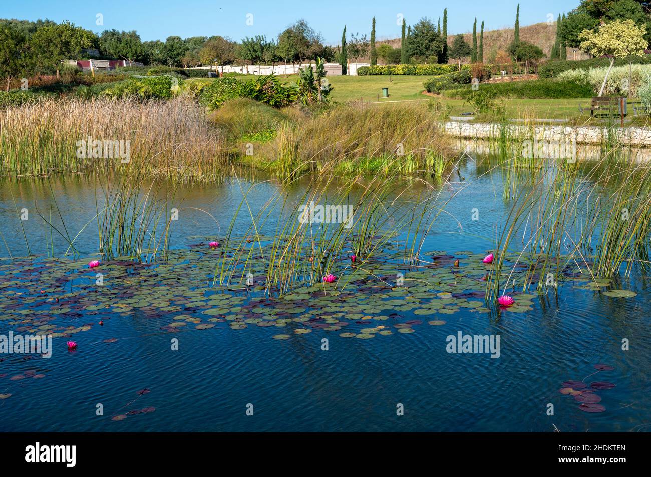 Tel Aviv , Israele - 26 novembre 2021 Ariel Sharon Park ecologico Foto Stock