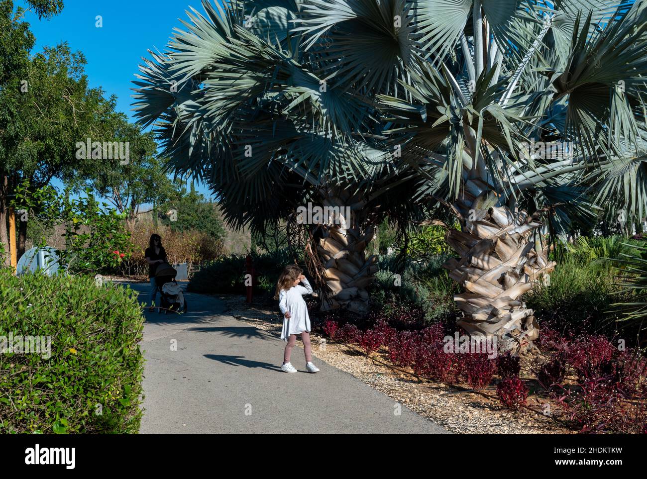 Tel Aviv , Israele - 26 novembre 2021 Ariel Sharon Park ecologico Foto Stock