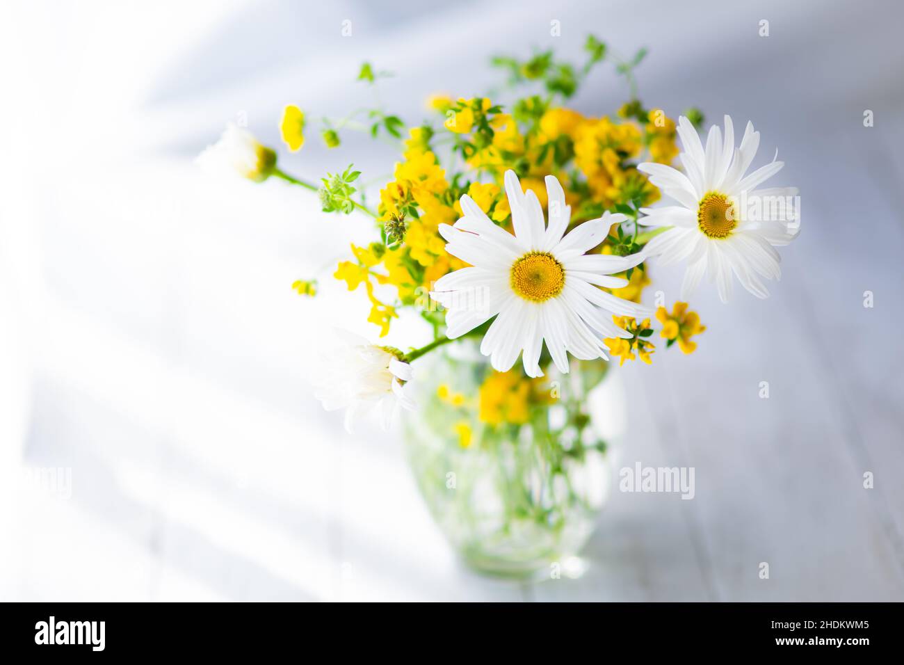 Happy Mother's Day primavera sfondo floreale con spazio per la copia del testo Foto Stock