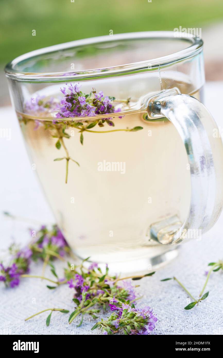 tè, tisane, tisane, tisane Foto Stock