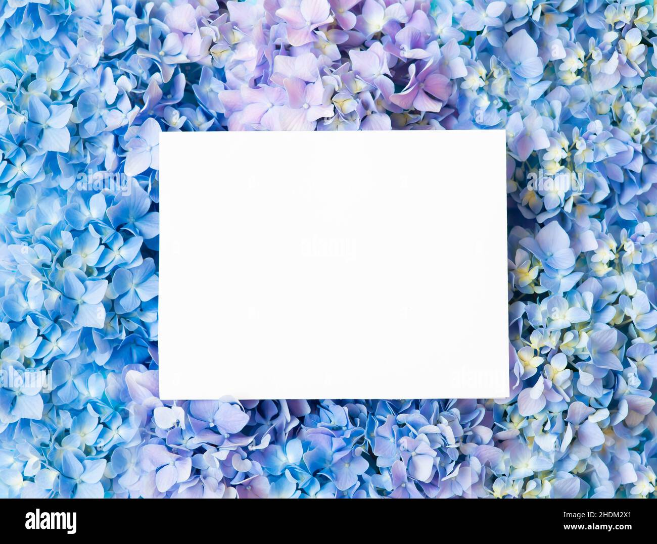 Happy Mother's Day primavera sfondo floreale con spazio per la copia del testo Foto Stock