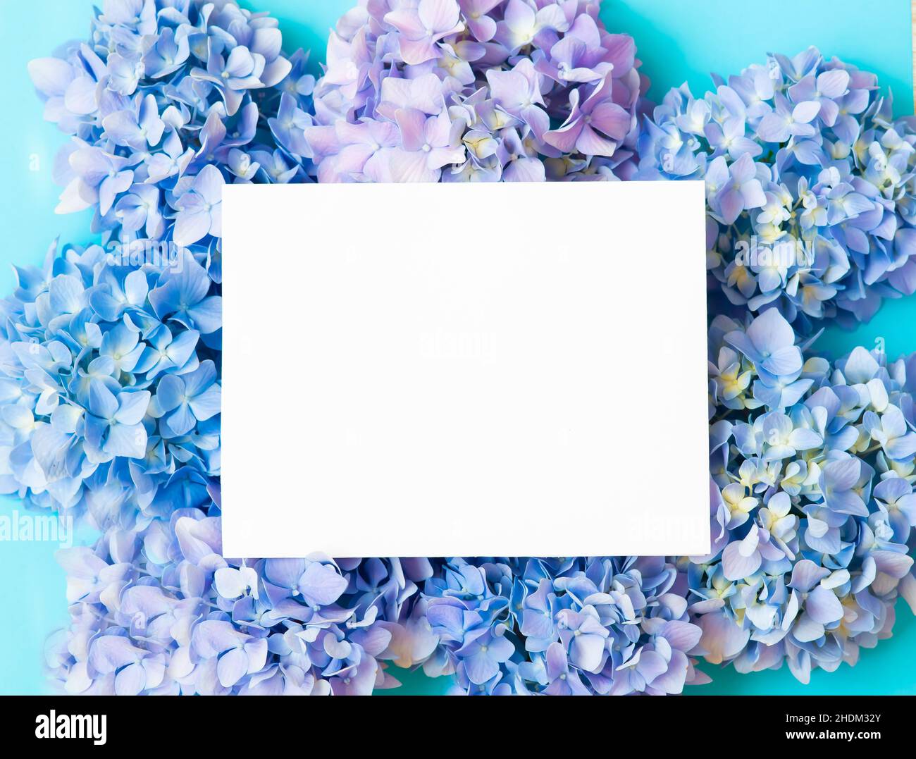 Happy Mother's Day primavera sfondo floreale con spazio per la copia del testo Foto Stock