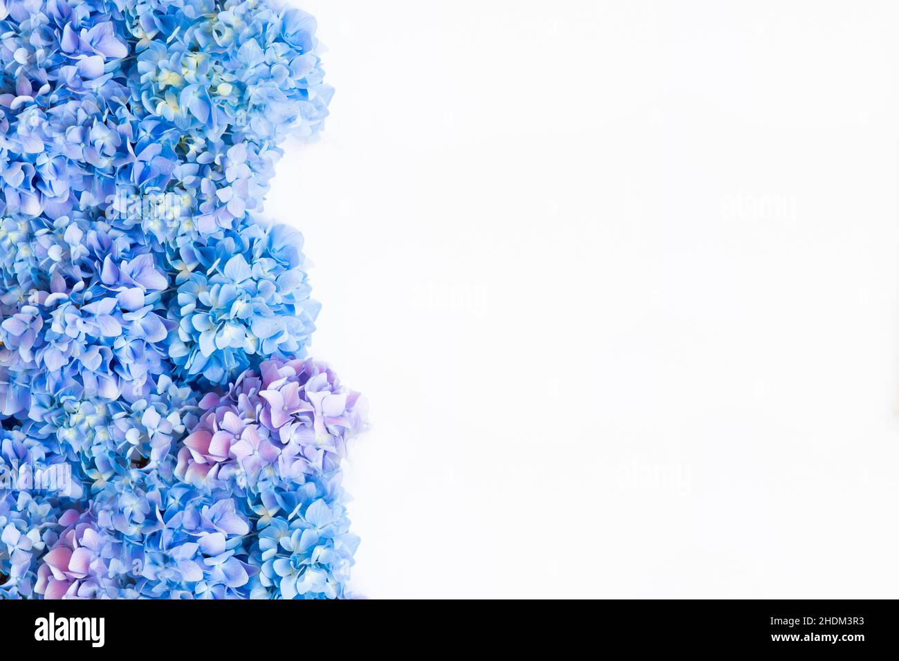 Happy Mother's Day primavera sfondo floreale con spazio per la copia del testo Foto Stock