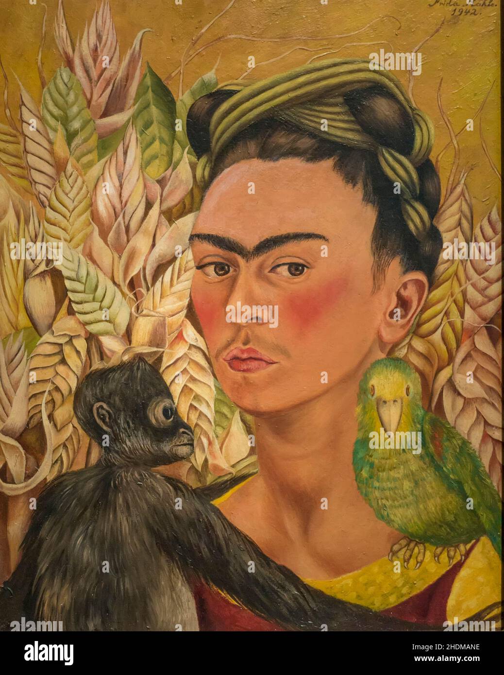 Frida Kahlo autoritratto con Monkey e Parrot 1942 olio su masonite nel museo MALBA, Buenos Aires, Argentina Foto Stock