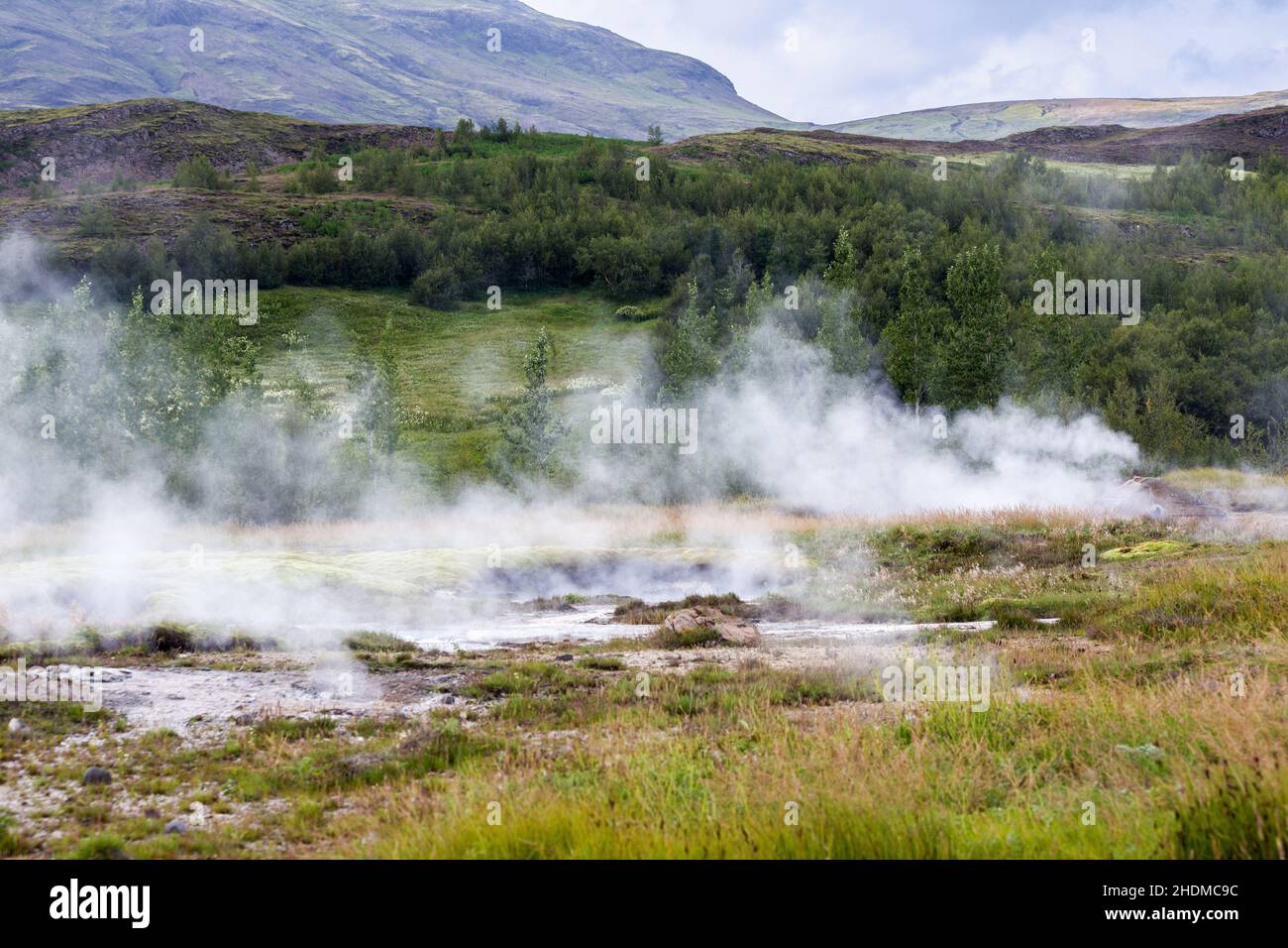 Prateria con nebbia fuori dalla sorgente termale in Islanda Foto Stock