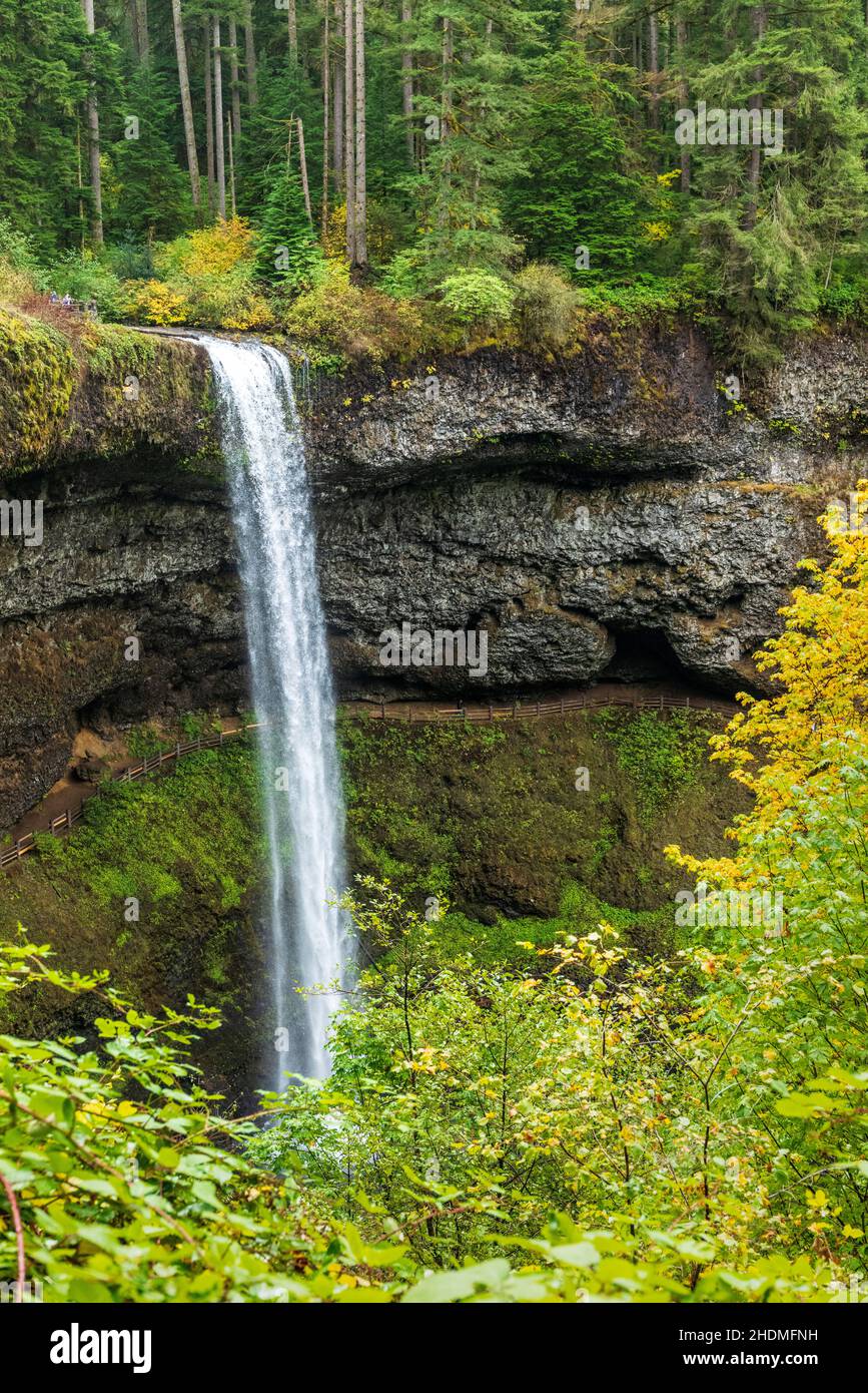 South Falls; Trail of Ten Falls; Silver Falls state Park; Oregon; USA Foto Stock