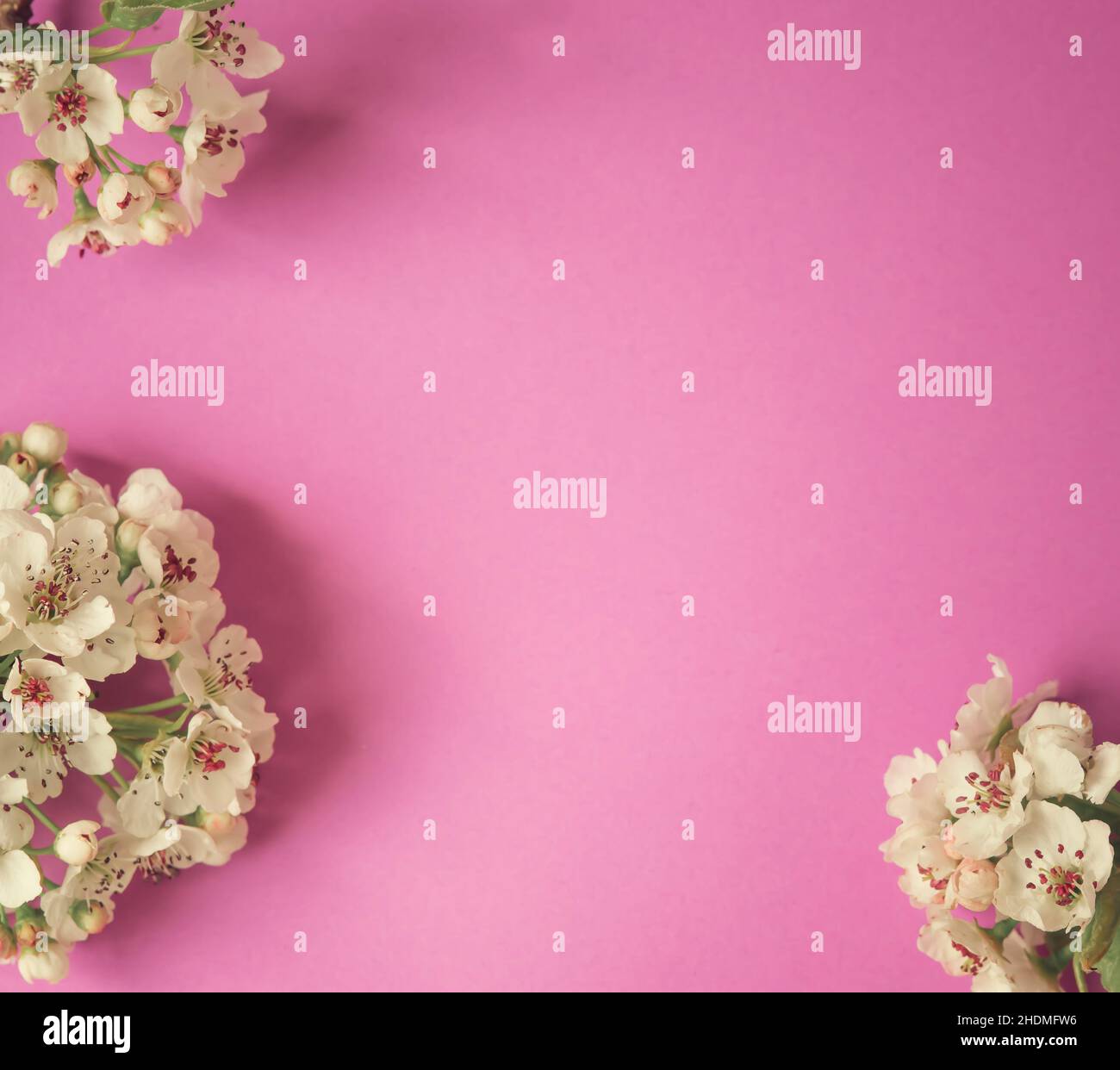 Happy Mother's Day primavera sfondo floreale con spazio per la copia del testo Foto Stock