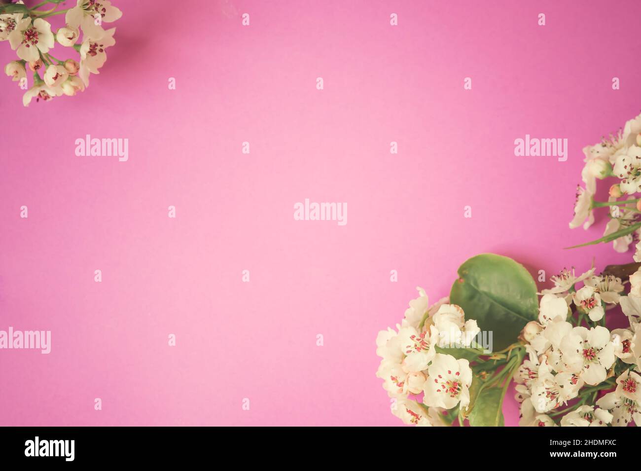 Happy Mother's Day primavera sfondo floreale con spazio per la copia del testo Foto Stock