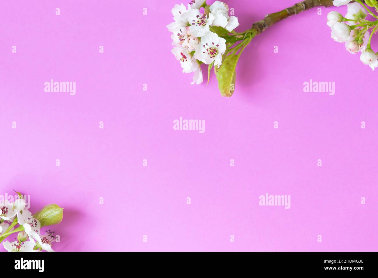 Happy Mother's Day primavera sfondo floreale con spazio per la copia del testo Foto Stock