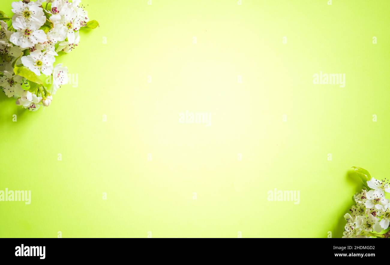 Happy Mother's Day primavera sfondo floreale con spazio per la copia del testo Foto Stock