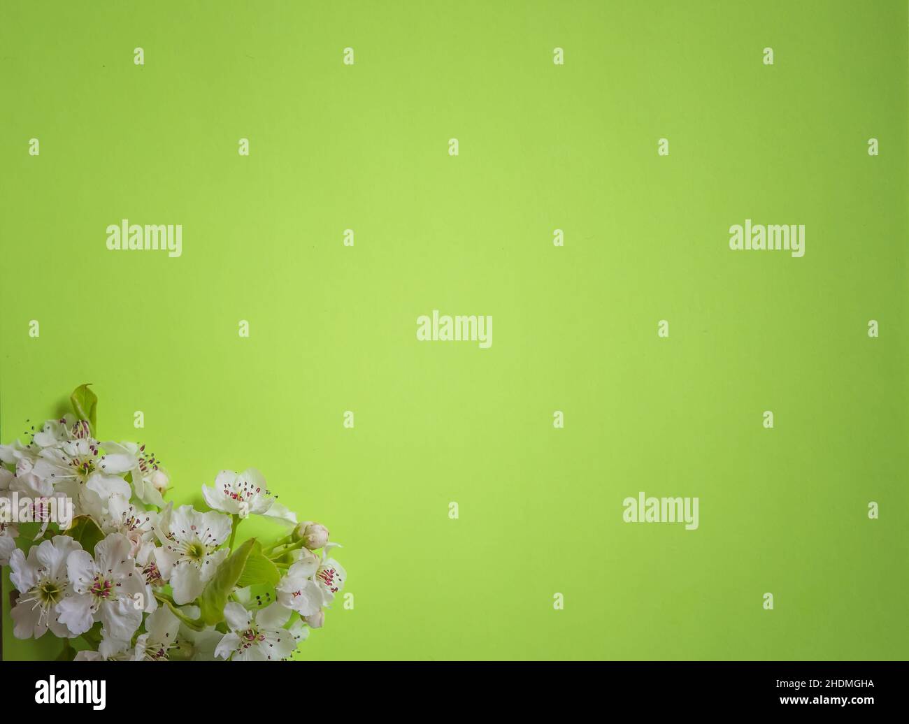 Happy Mother's Day primavera sfondo floreale con spazio per la copia del testo Foto Stock