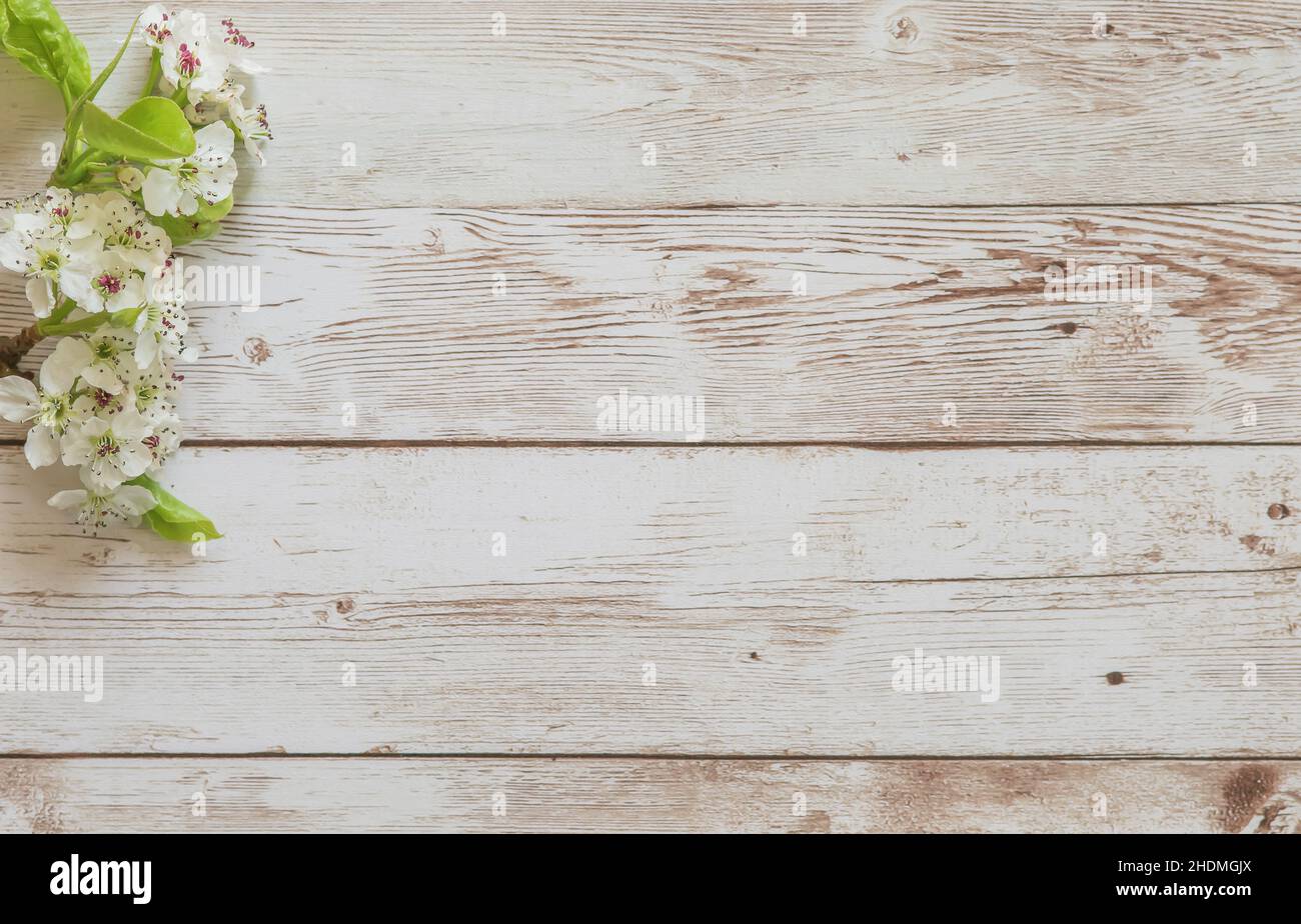 Happy Mother's Day primavera sfondo floreale con spazio per la copia del testo Foto Stock