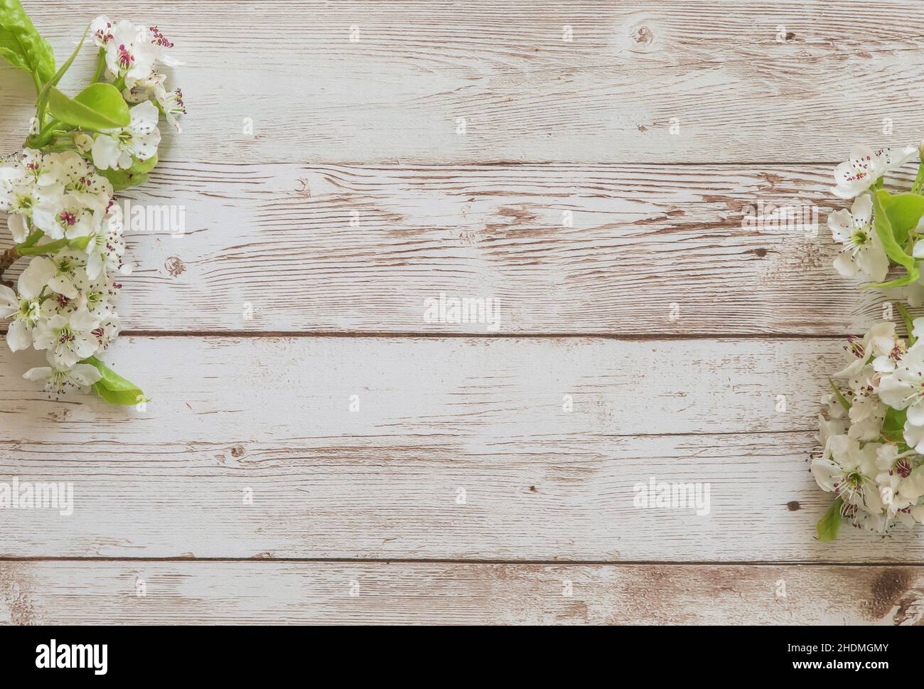 Happy Mother's Day primavera sfondo floreale con spazio per la copia del testo Foto Stock