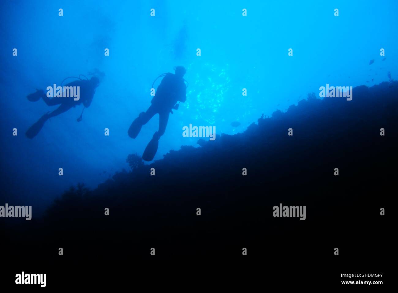Gancio Di Barriera Per Immersioni In Acciaio Inox 316 – Moschettone Con Molla Da 1.5m E O-Ring, Sicuro Per Correnti E Attrezzatura Subacquea