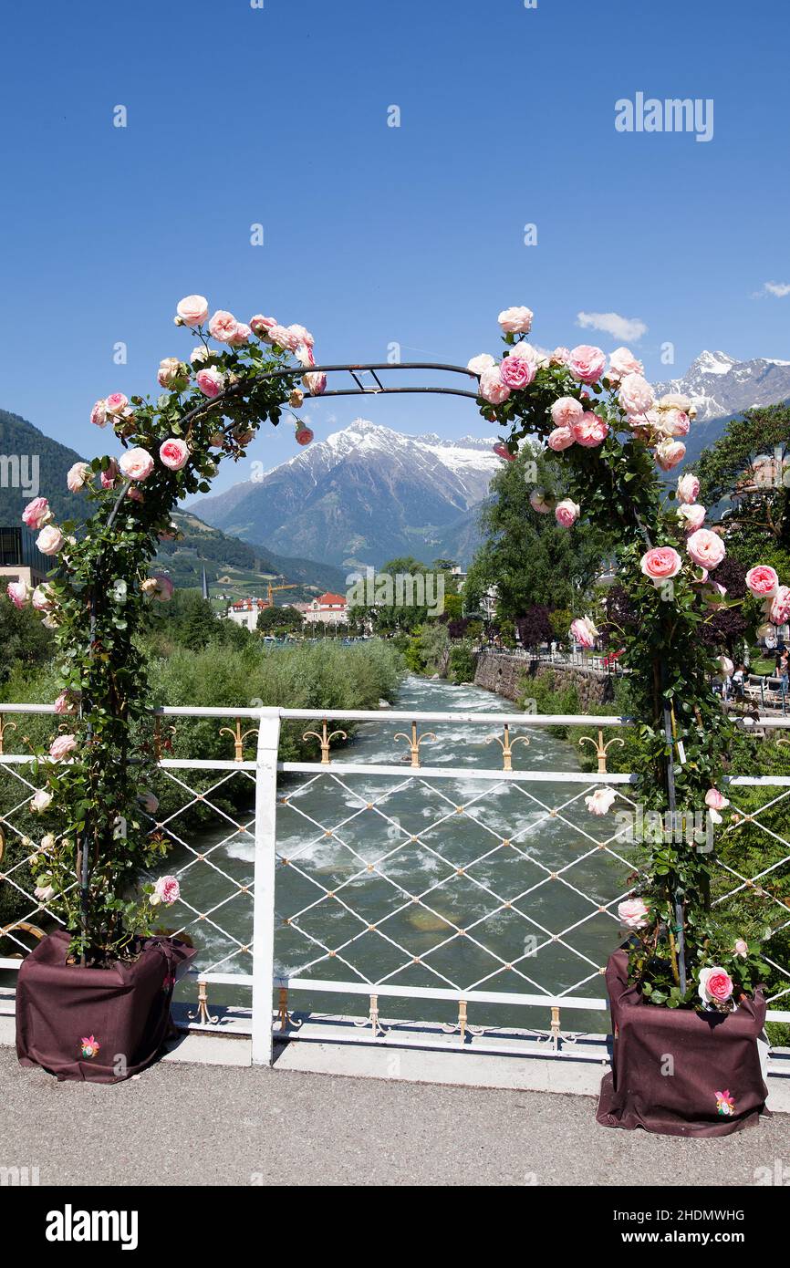 alto adige, merano, arco di rose, passante, altoatesini, meranos Foto Stock