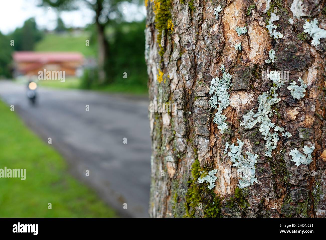 vicolo, rischio di incidenti, vicoli, rischio di incidenti Foto Stock