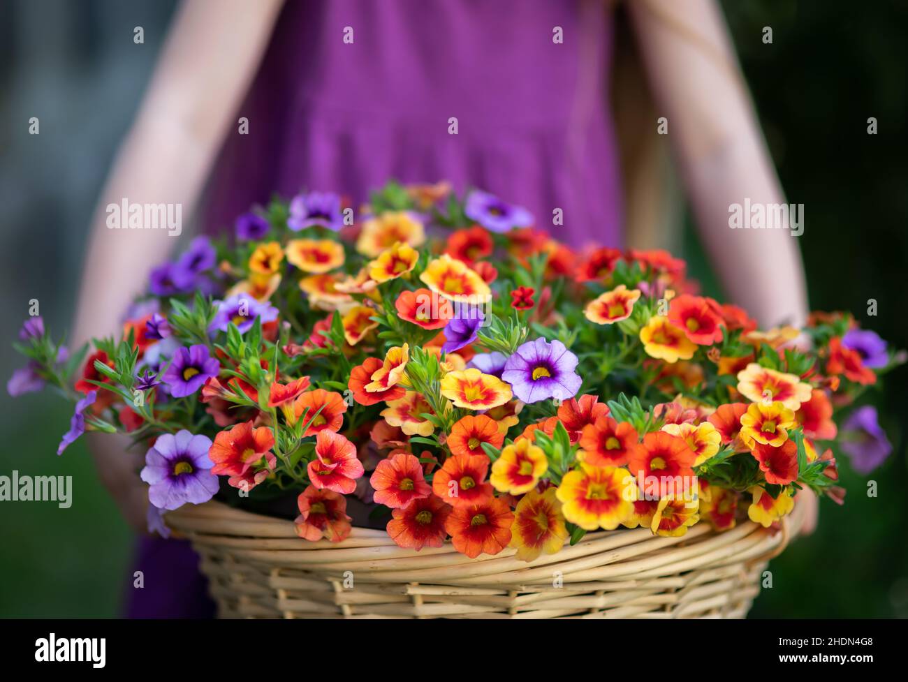 Happy Mother's Day primavera sfondo floreale con spazio per la copia del testo Foto Stock