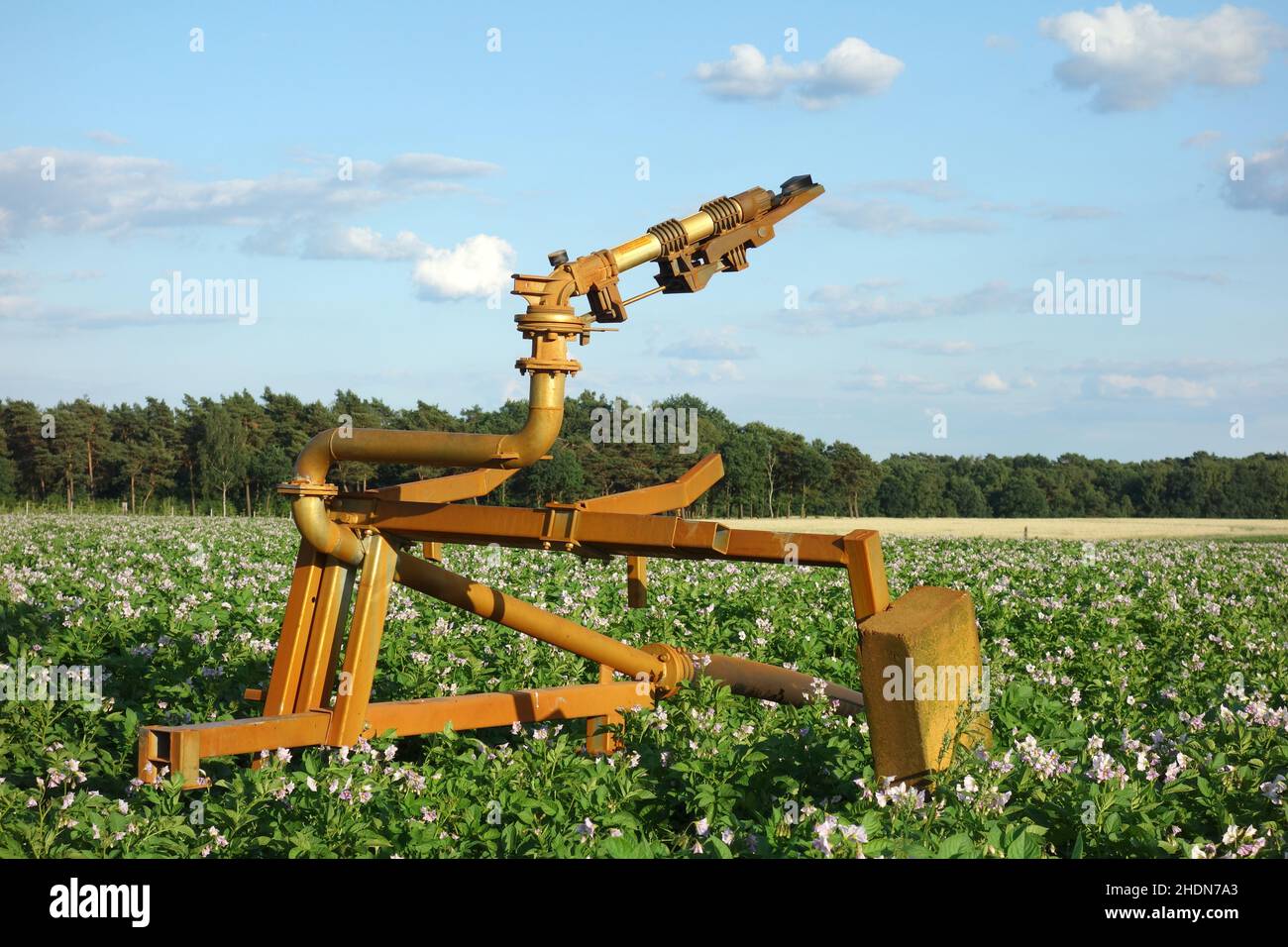 attrezzatura di irrigazione, campo di patate, attrezzature di irrigazione, campi di patate Foto Stock