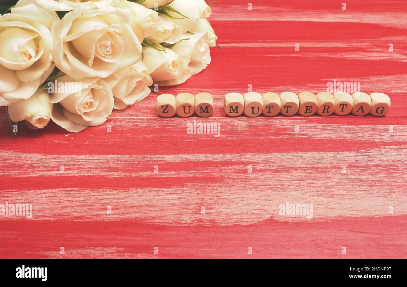 per il giorno della madre, bouquet di rose, per il giorno della madre, bouquet di rose Foto Stock