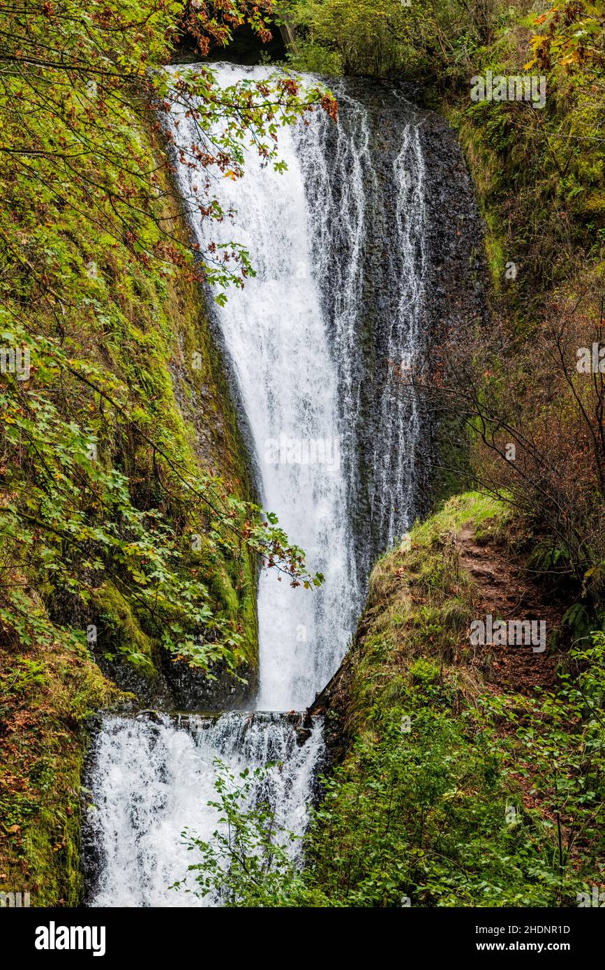 Bridal Veil Falls; Columbia River Gorge; Oregon; USA Foto Stock