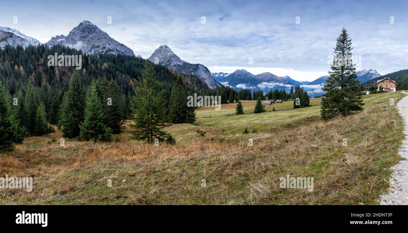 tirolo, alce di ehrwalder, tiroli Foto Stock