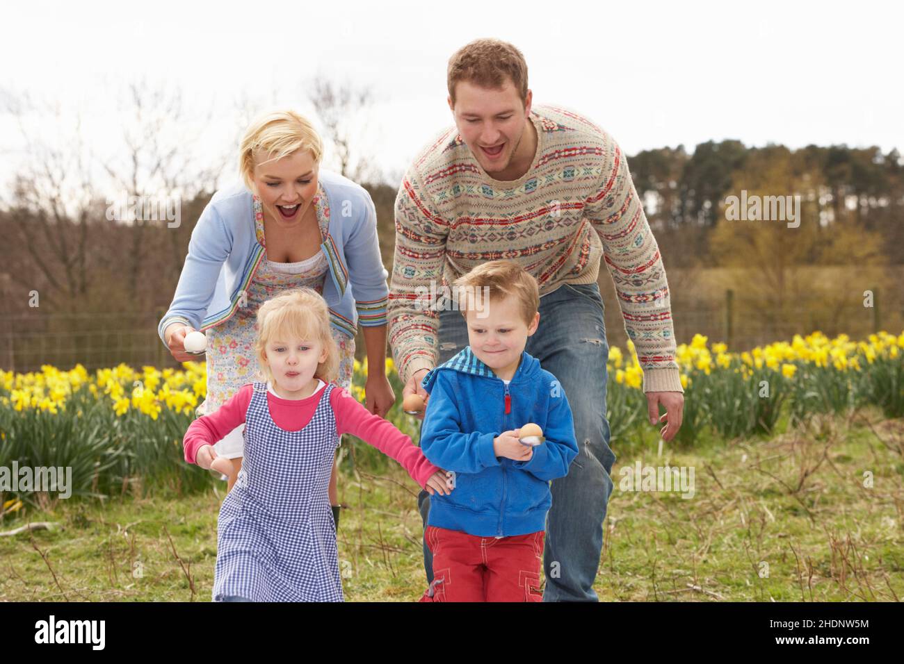 famiglia, uova, famiglie Foto Stock