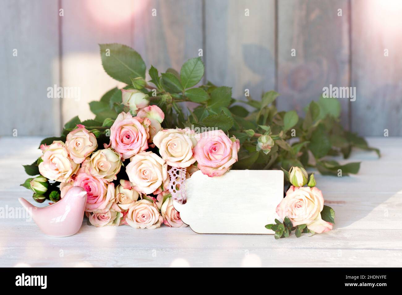 giorno delle madri, san valentino, anniversario di matrimonio, giorni delle madri, giorno di san valentino, san valentino, san valentino, anniversari di matrimonio, giorno di matrimonio Foto Stock