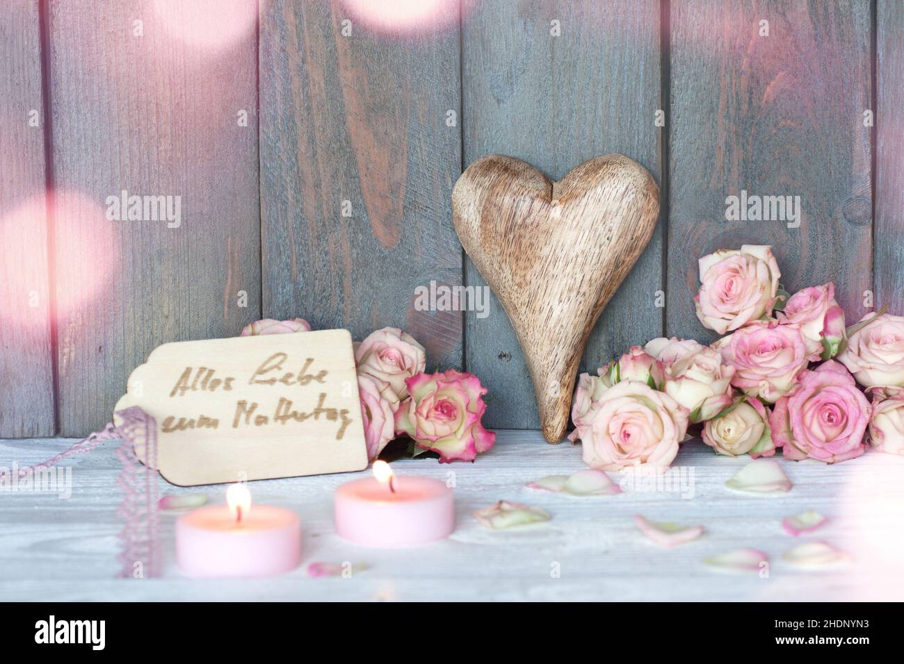 giorno delle madri, rosa, giorni delle madri, rose Foto Stock