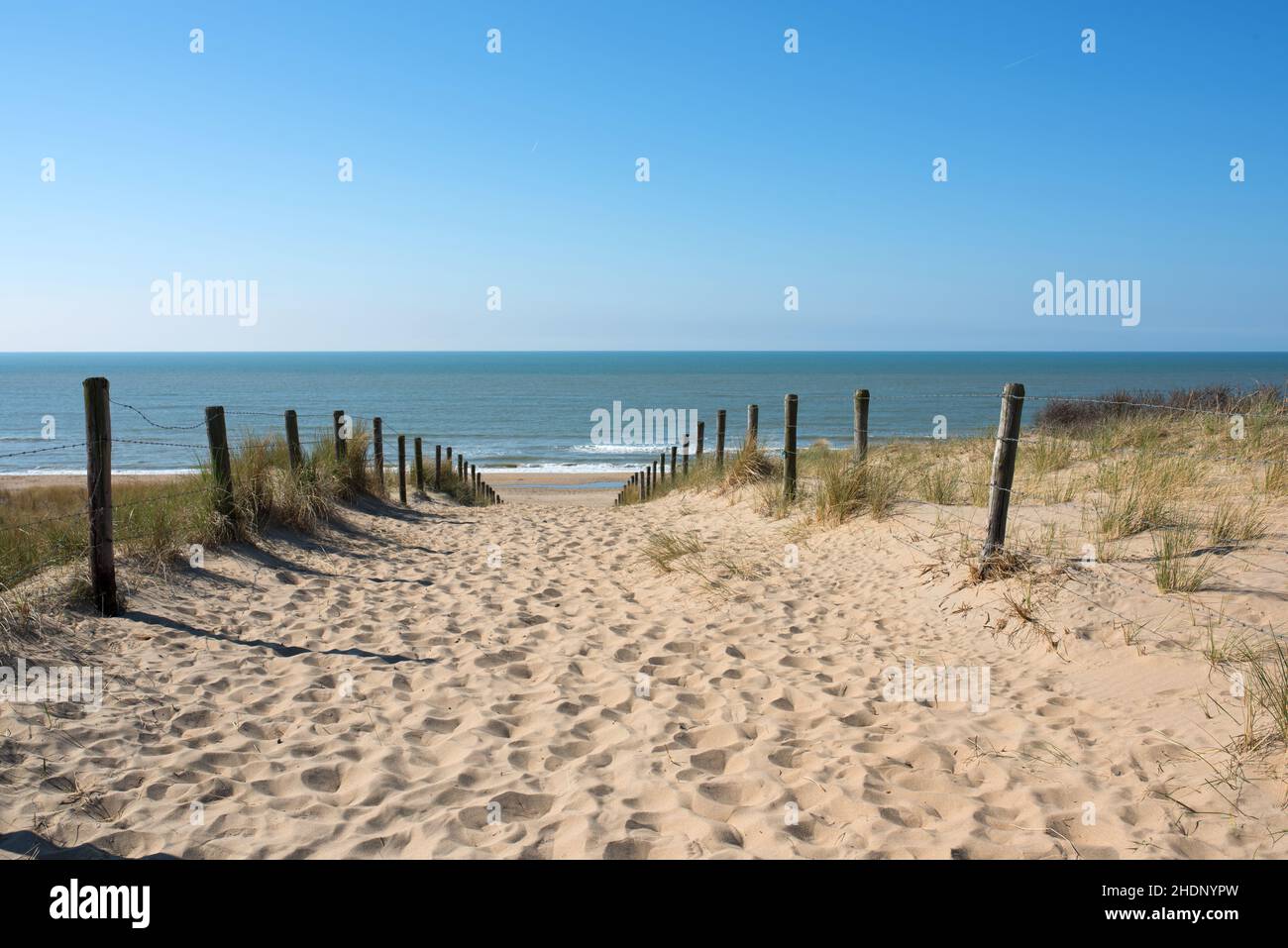 mare del nord, duna, mare del nord, dune Foto Stock