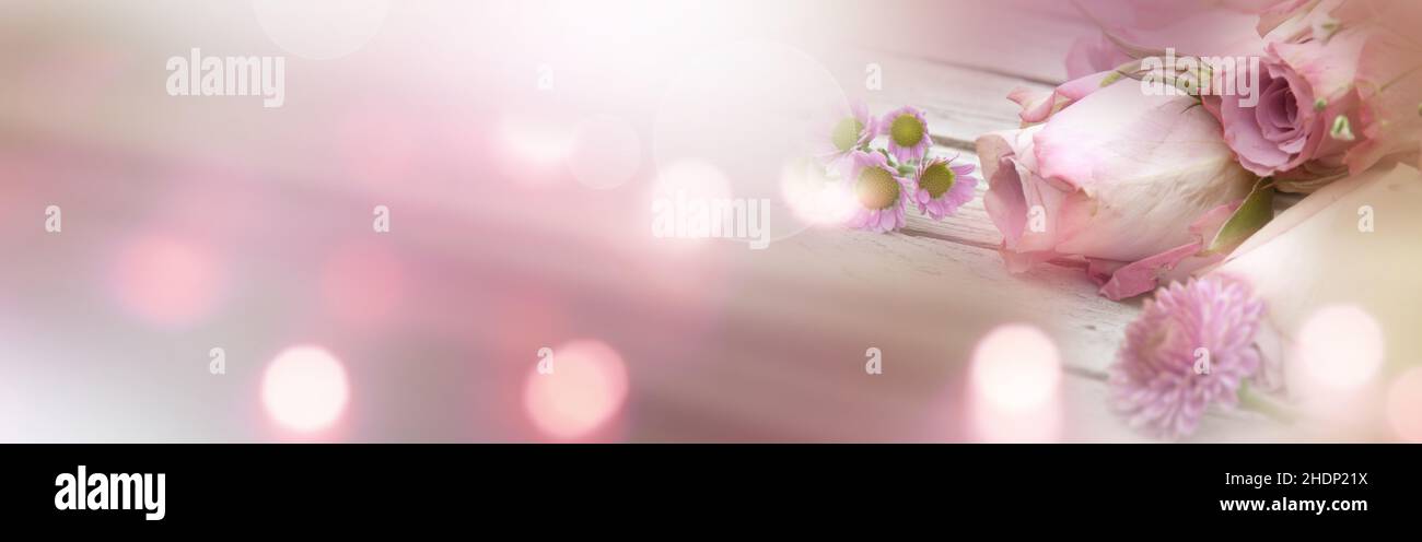 giorno delle madri, rose, bokeh, giorni delle madri, rosa, bokehs Foto Stock