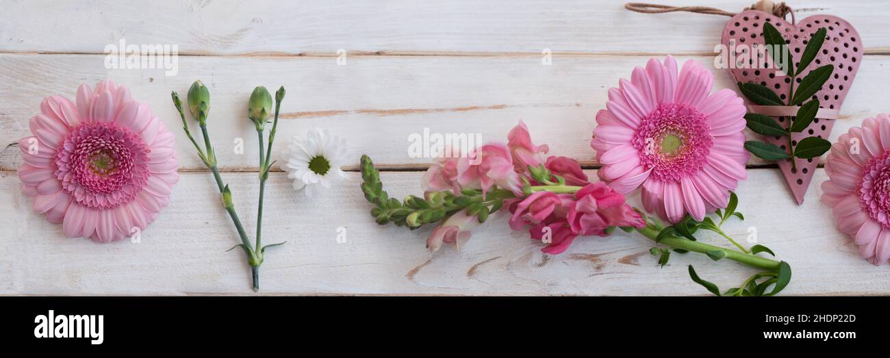 primavera, fiori, madri giorno, fiore, fiore valentain, giorni delle madri Foto Stock