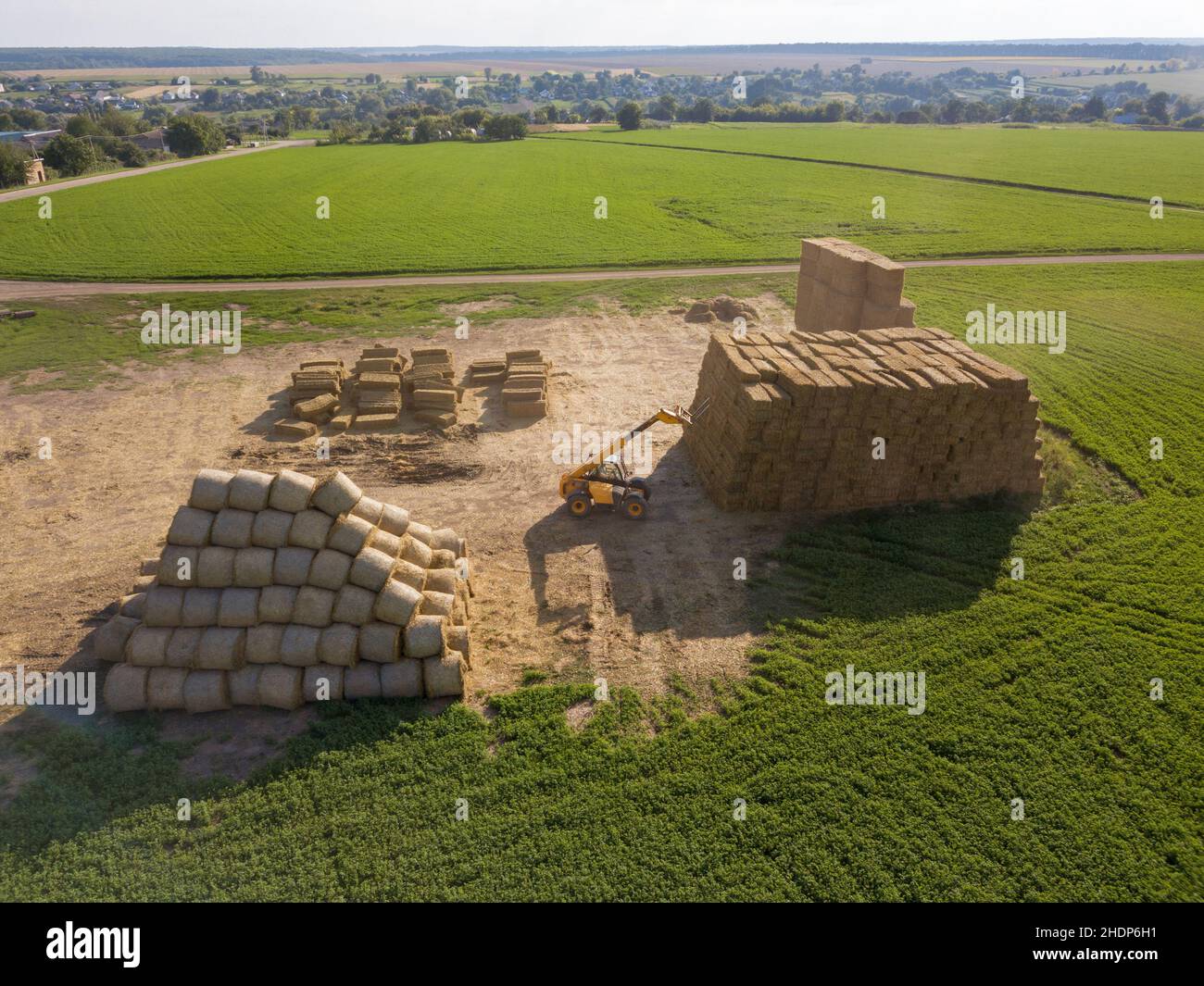 agricoltura, balla, raccolto di fieno, agricole, balle, raccolti di fieno Foto Stock